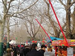 -朝阳公园游乐园