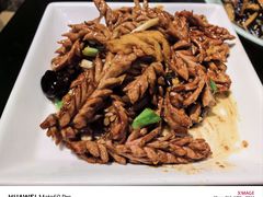 -梅飞酒家(桑园路店)