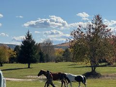 -北极村旅游风景区