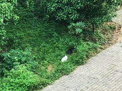 -阳朔糖舍酒店·糖舍餐厅&酒吧