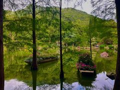 -深圳仙湖植物园