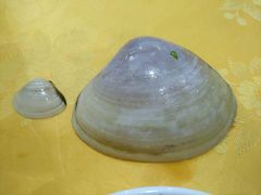 -蚝专家(北滘店)