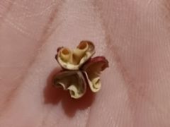 -初蓉丨遇见新川菜(亲贤街荣耀店)