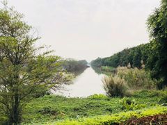 -大湾区中央湿地公园