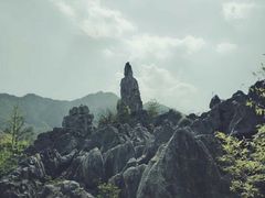 -千岛湖石林
