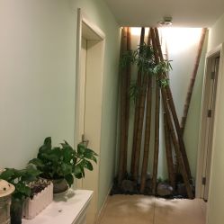 -苗方清颜·祛痘皮肤管理