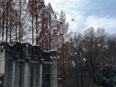 -音乐台