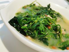 -至潮餐厅精致粤菜·活鲈鱼·走地鸡(珠江新城店)