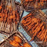 🔥值得N刷‼️十年不涨价的特色烤肉🥩‼️爱了[亲亲]