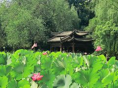 -莲湖公园