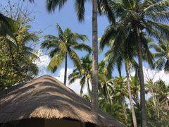 -三亚珠江南田温泉度假区