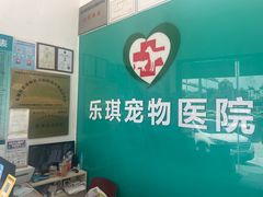 -乐琪宠物医院·犬猫专科·骨外科·急重症