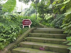 -成都市活水公园