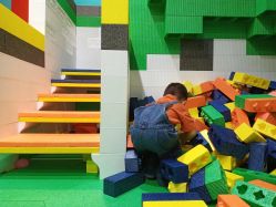 -恐龙探索乐园(磁器口店)