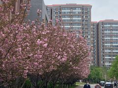 -河南财经政法大学(郑东校区)