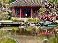 -顺峰山公园