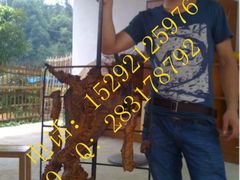 烤全羊-大京袁记烤全羊农家(大京水库店)