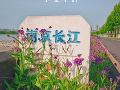 -南京眼步行桥