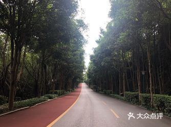 山上有一座尼姑庵，每次来到就想到奶奶