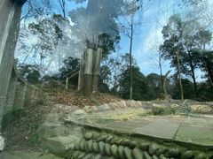 -中国大熊猫保护研究中心雅安碧峰峡基地