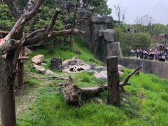 -宁波野生动物园