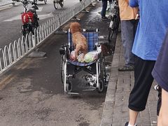 -增盛魁小吃店