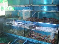 -老东镇啤酒屋海鲜加工·蒸汽海鲜·海鲜烧烤(台东店)