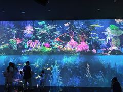 -中国湿地博物馆