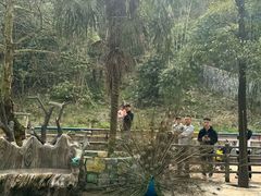 -贵州森林野生动物园
