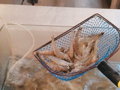 -步步高福朋喜来登·宜客乐西餐厅