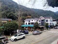 -春娟茶楼·地道农家菜(梅家坞店)