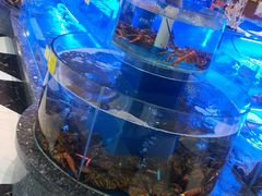 -新海渔港·胶东海鲜家常菜·家宴(奥体中心店)