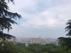 -万卷楼景区