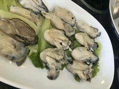 -蚝专家