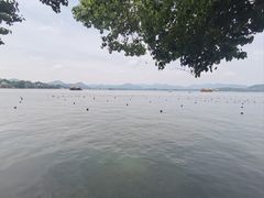 -西湖游船