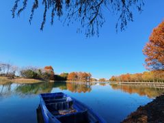 -贡湖湾湿地公园