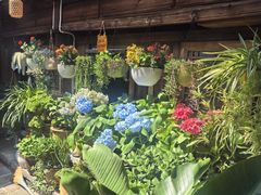 -龙姐私房菜(和顺古镇店)