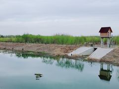 -东郊湿地公园