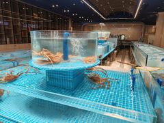 -金唐宫(淮河文化广场店)