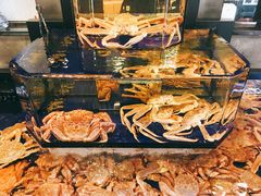 -蟹道乐(道顿堀本店)