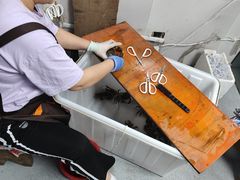 -阳澄湖大闸蟹·琼灵阁牌品牌连锁(吴中总店)