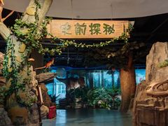 -陕西自然博物馆