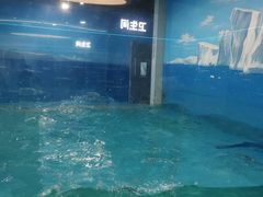 -苏州海洋馆