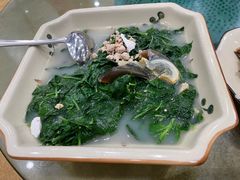 上汤枸杞叶-正宗鸡饭粤香酒家(朱村店)