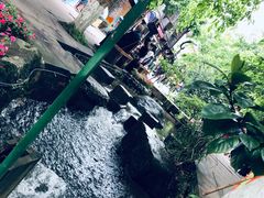 -川西竹海景区