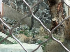 -青藏高原野生动物园