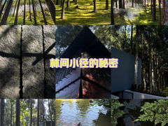 -玉苍山国家森林公园