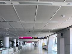 -郑州新郑国际机场-T2航站楼