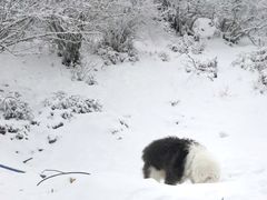 -太子岭滑雪场