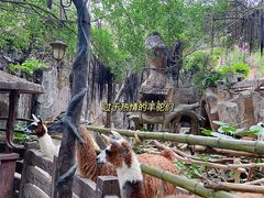 -长鹿旅游休博园
